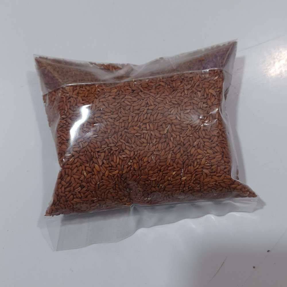 بذر شاهی بسته ۴۰ گرمی